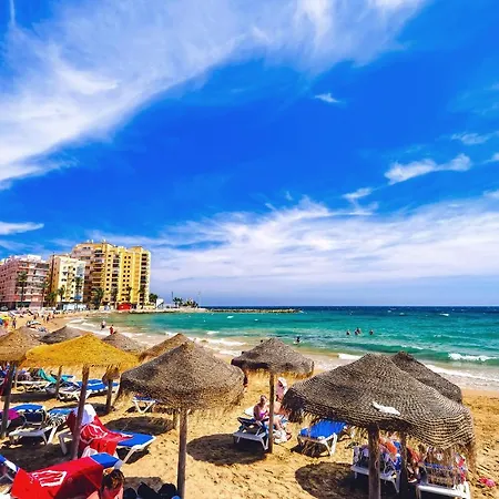 Franka * 또레비에하